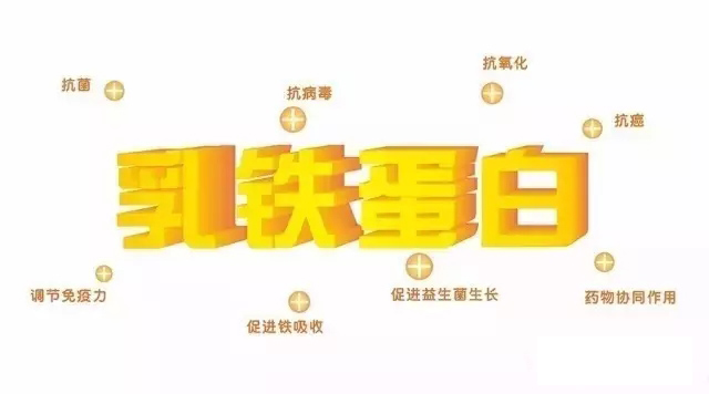 乳铁蛋白.webp.jpg