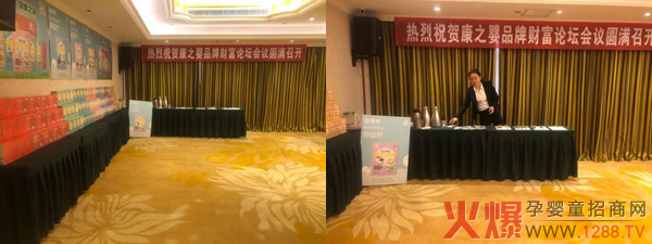 康之婴品牌财富论坛会议2.jpg