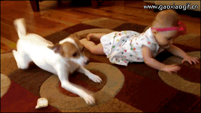 eb5afe76ee064a0eb944cf3a3a930f8d.gif